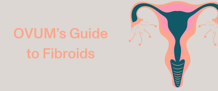 OVUM's guide to fibroids