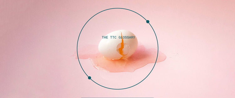 trying to conceive glossary