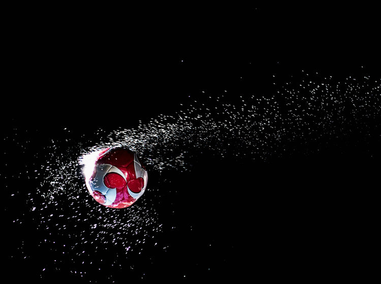 What the Lionesses Teach Us About Reproductive Health