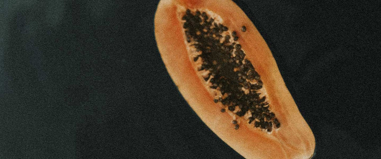 Targeting the Reproductive Tract Microbiome: A Key to Enhancing Fertility and IVF Success