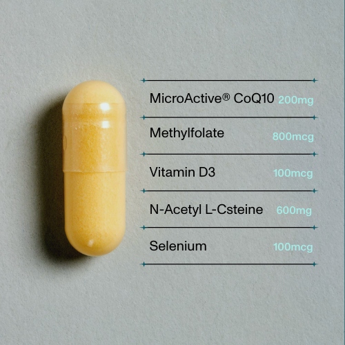 Time to Conceive® Supplement