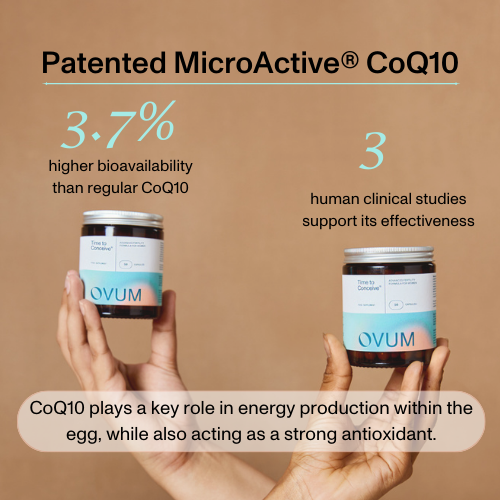 Time to Conceive® Supplement