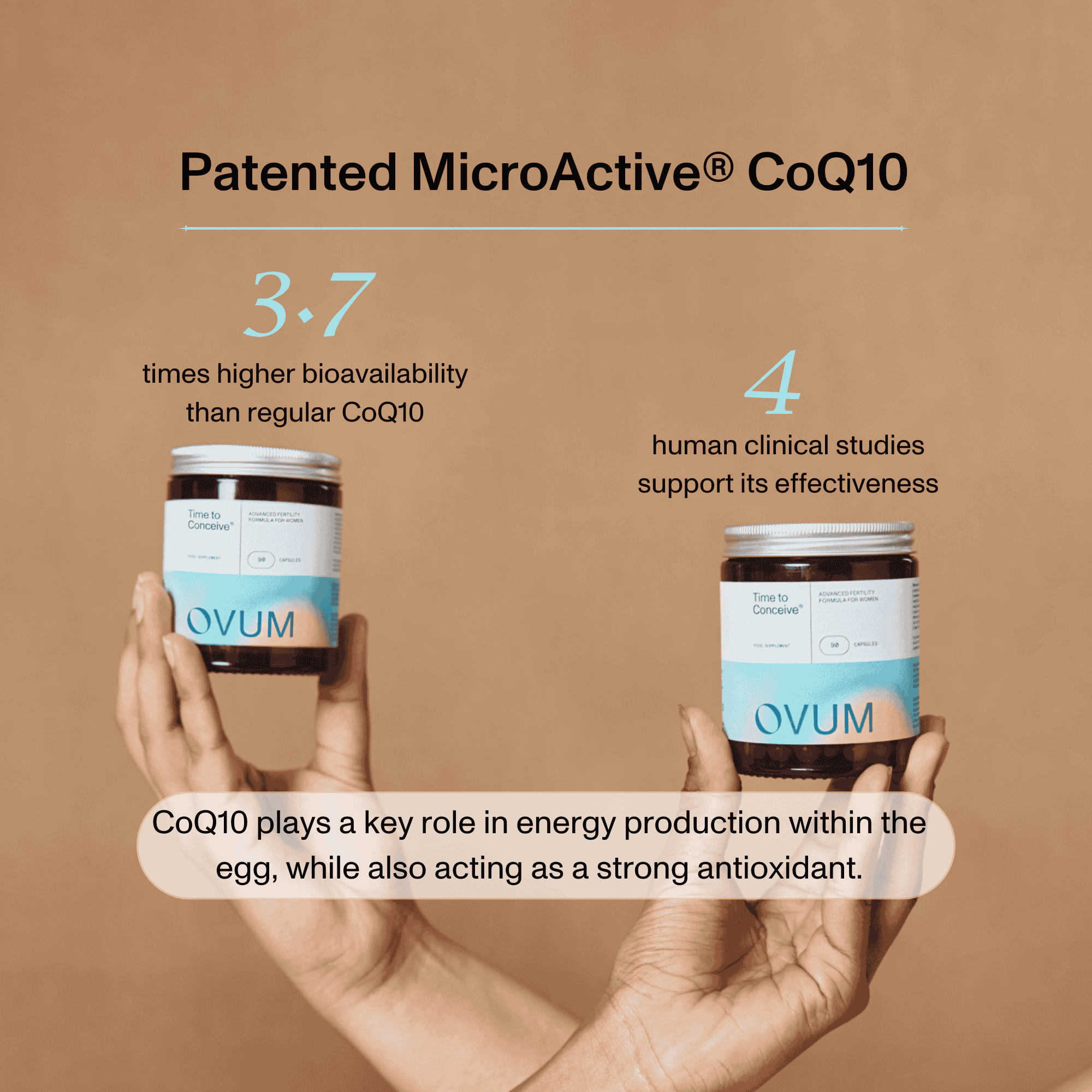 Time to Conceive® For Women
