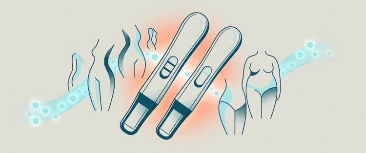 Why Standard Pregnancy Tests Aren’t Made for Every Body